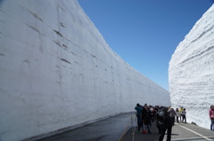 雪の大谷