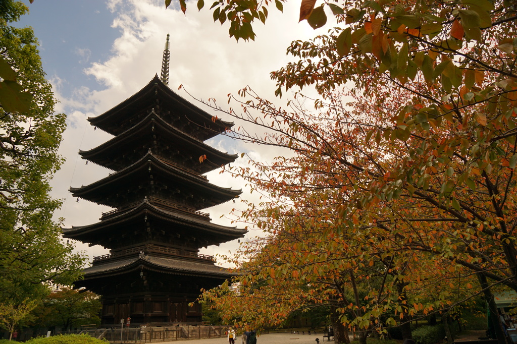 東寺の五重塔