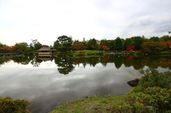 昭和記念公園の紅葉