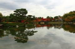 昭和記念公園の紅葉