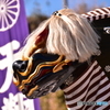 天翔獅子