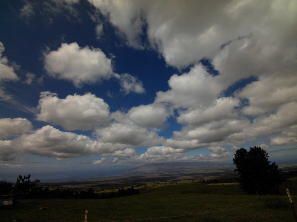 Maui (4)