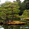 金閣寺庭園