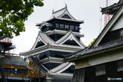 熊本城再建途中