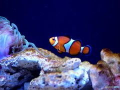 海の中道マリンワールド