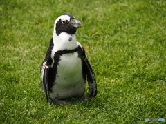 海の中道マリンワールド