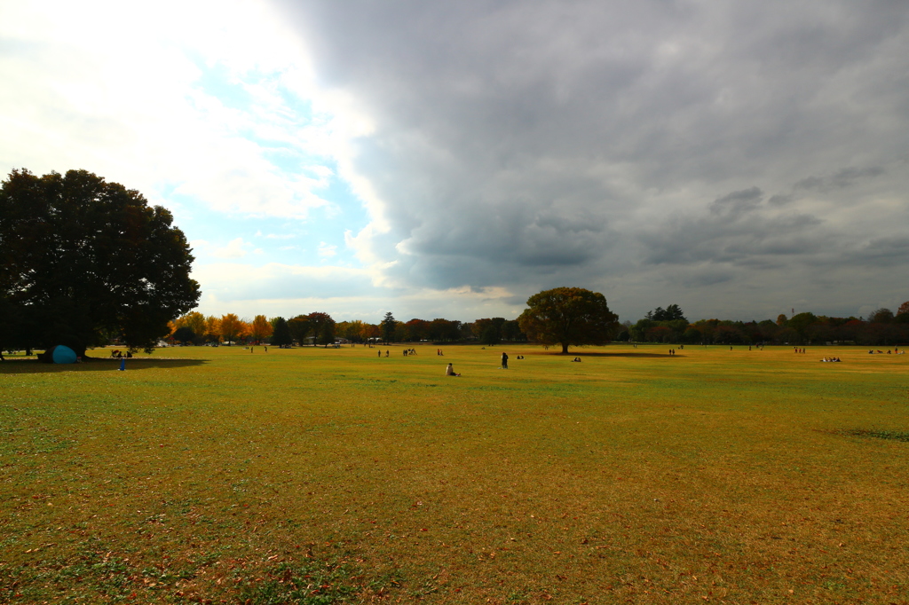 昭和記念公園の紅葉