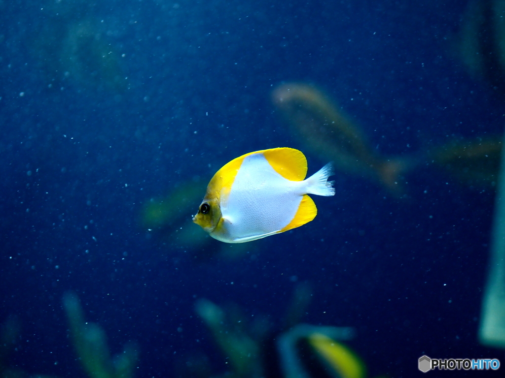海の中道マリンワールド