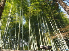 京都