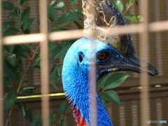 東武動物公園