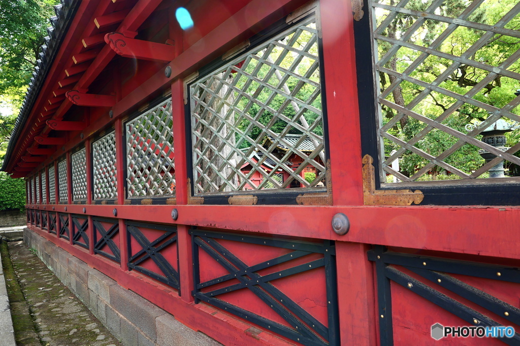東京散歩(根津神社)
