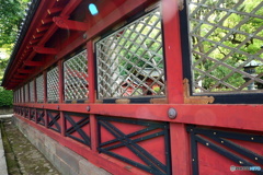 東京散歩(根津神社)