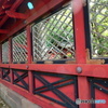 東京散歩(根津神社)