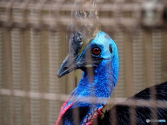 東武動物公園