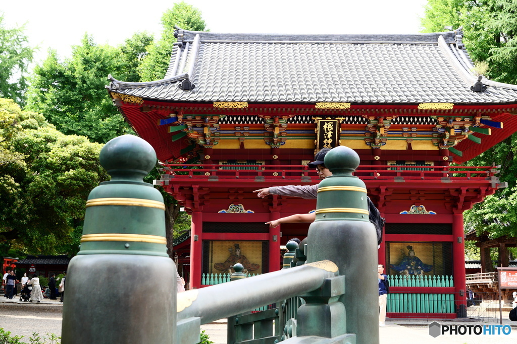 指さす先は？(根津神社)