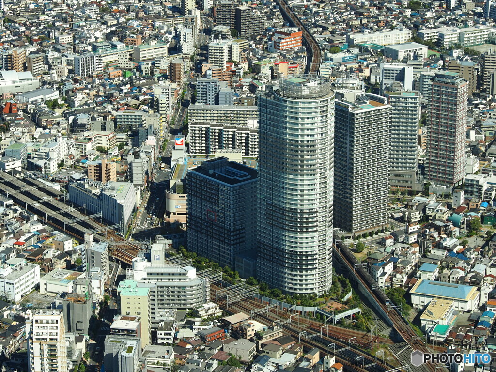 スカイツリーから
