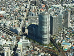 スカイツリーから
