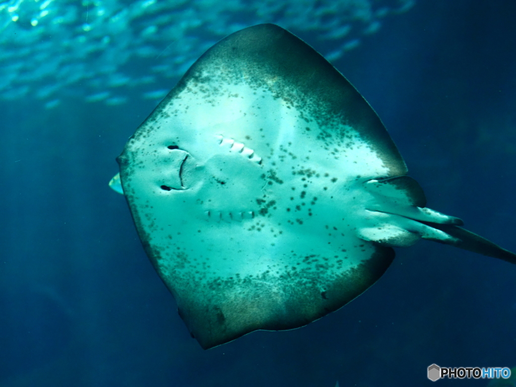海の中道マリンワールド