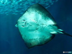 海の中道マリンワールド