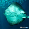 海の中道マリンワールド