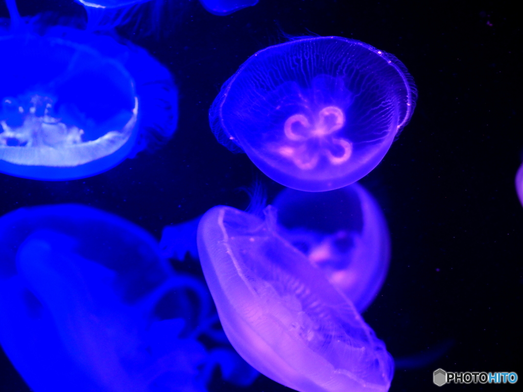 海の中道マリンワールド