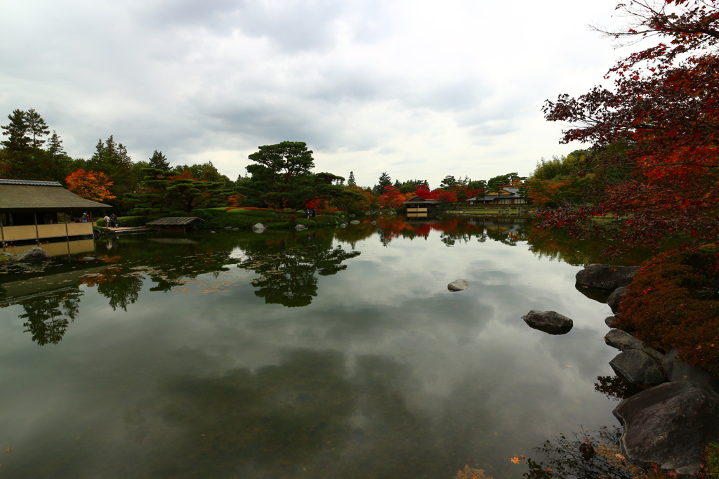昭和記念公園の紅葉