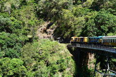 ケアンズ・キュランダ高原列車