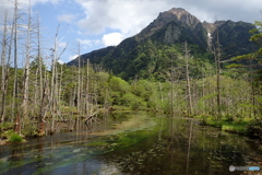 上高地