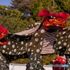 2020.1.1 日向・天翔獅子