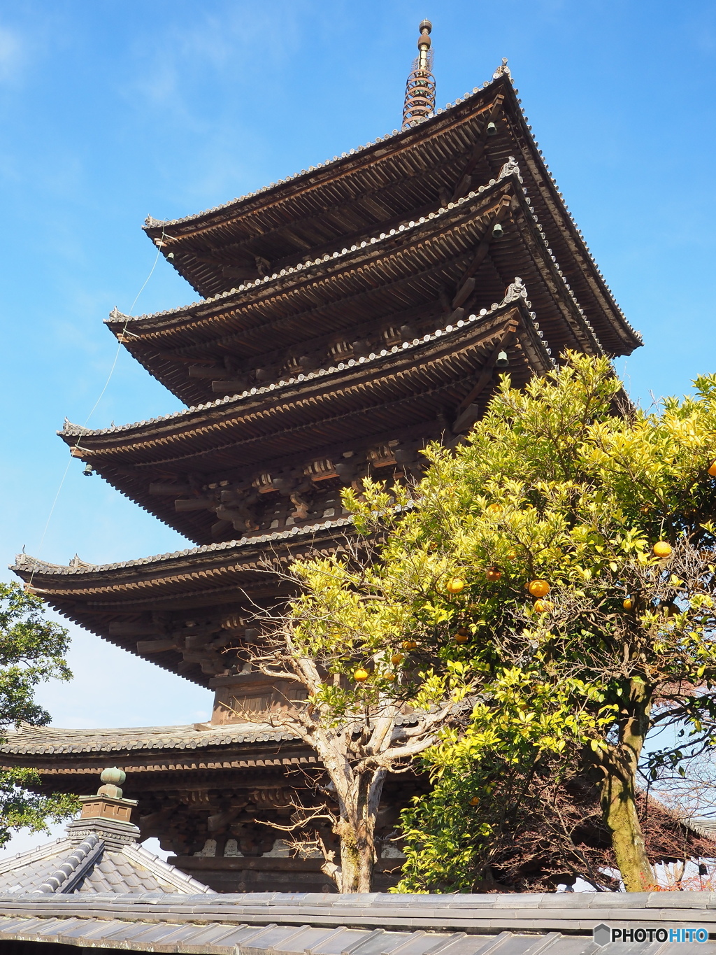 京都