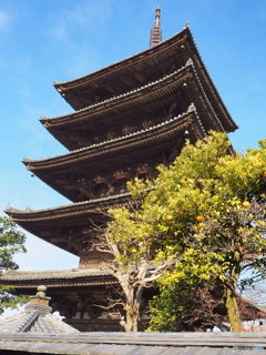 京都