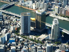 スカイツリーから