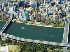 スカイツリーから