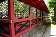 東京散歩(根津神社)