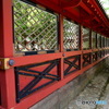 東京散歩(根津神社)