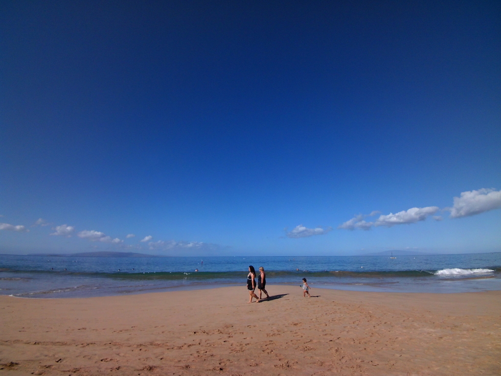Maui (2)