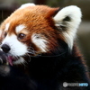 天王寺動物園