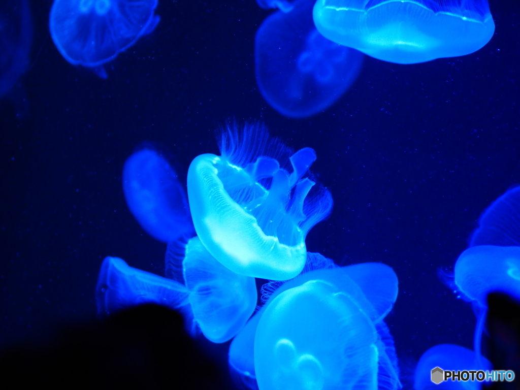 海の中道マリンワールド