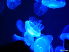 海の中道マリンワールド