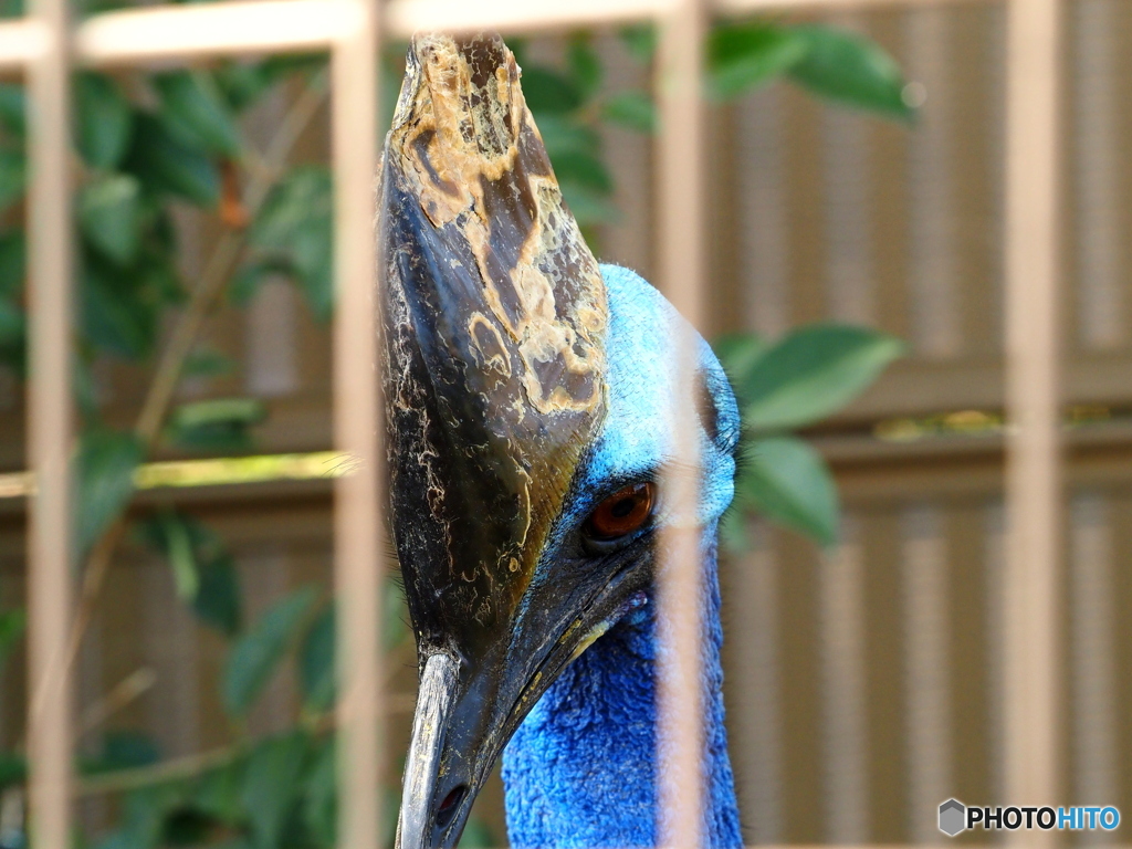 東武動物公園