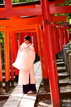 東京散歩(根津神社)
