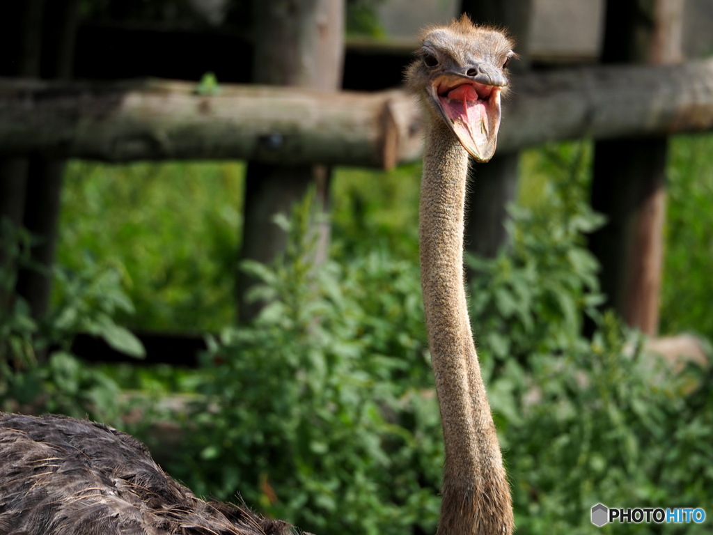 東武動物公園