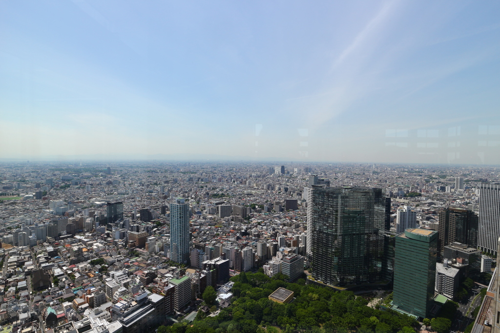 都庁展望台より