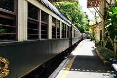 ケアンズ・キュランダ高原列車