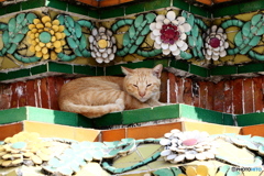 タイ・バンコクの寺院
