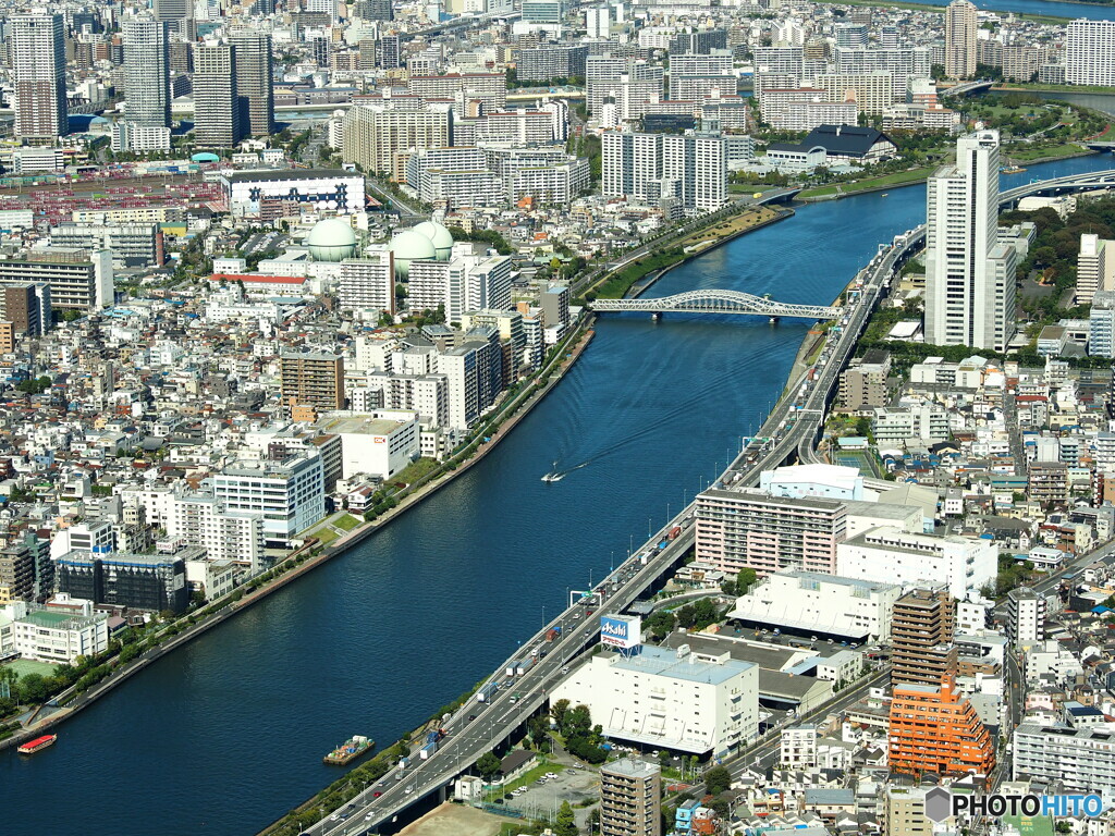 スカイツリーから