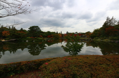 昭和記念公園の紅葉