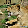 東武動物園