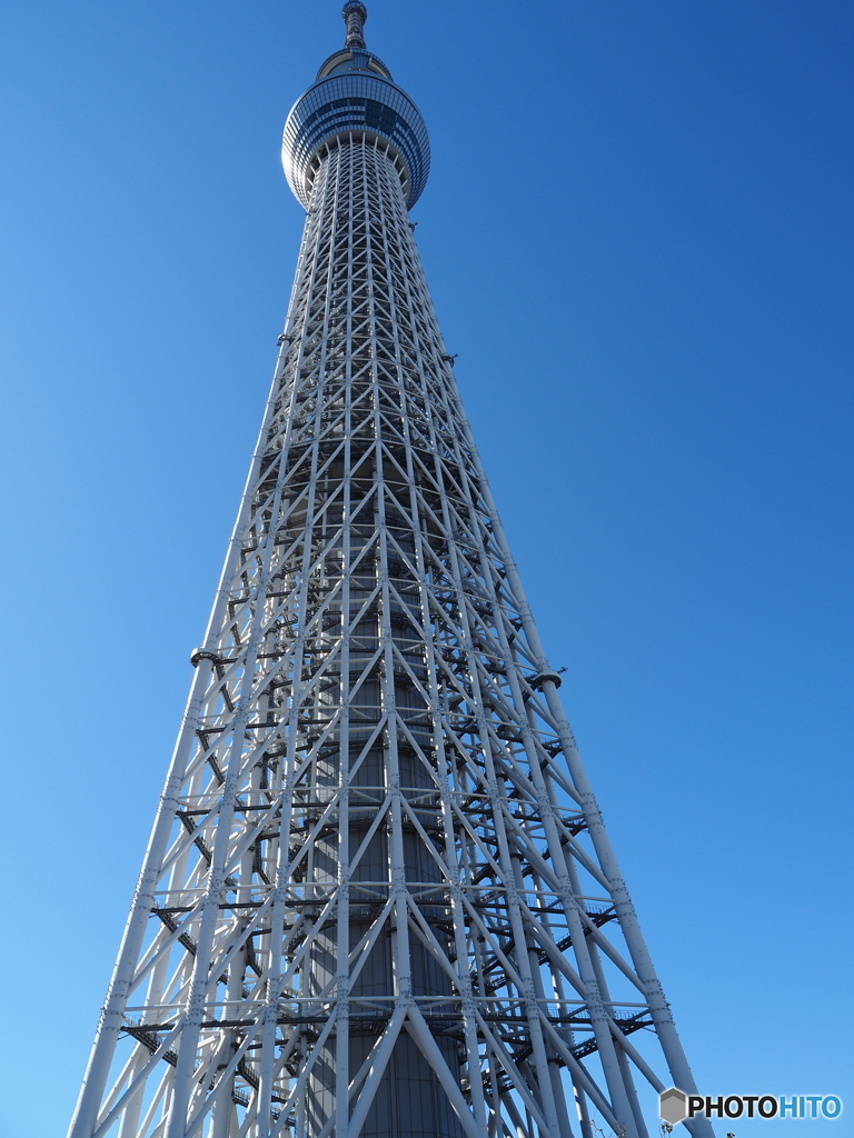 スカイツリー