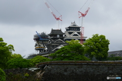 熊本城再建途中